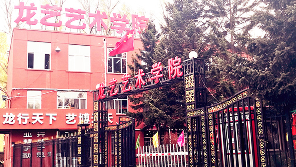 欢迎走进哈尔滨龙艺艺术学院,龙艺艺术学院创建于2008年,位于南岗区